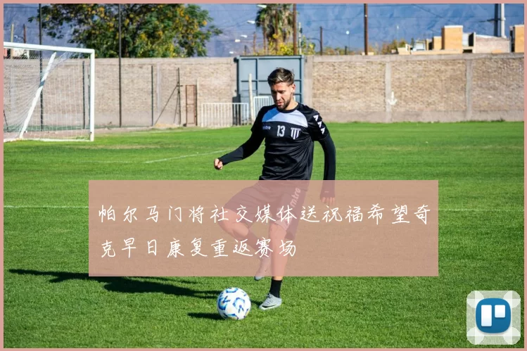 帕尔马门将社交媒体送祝福希望奇克早日康复重返赛场