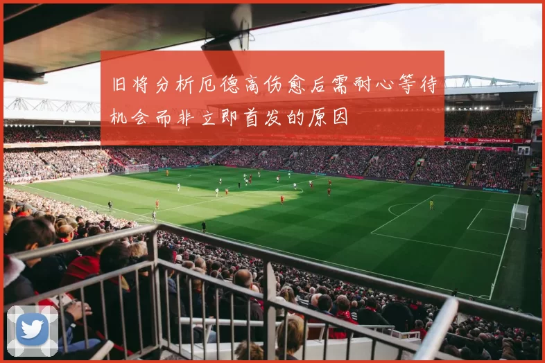 旧将分析厄德高伤愈后需耐心等待机会而非立即首发的原因